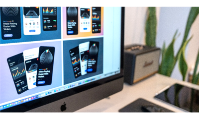 新产品研发项目管理的创新实践 网络技术服务的视角